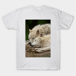 Arctic Wolves T-Shirt